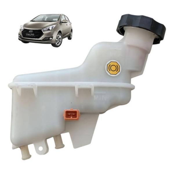 Reservatório Fluido Freio Hyundai Hb20 2013 A 2019 Original