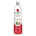 Gin Eternity Melancia Doce Garrafa 900 Ml